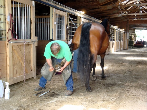 I took Teri and Sarah to see how my farrier, John, does a horse's feet.  They liked watching and seemed pretty fascinated by it :)